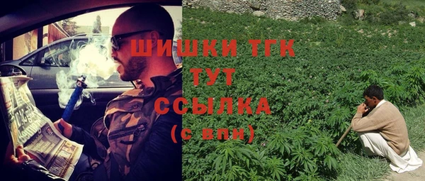 таблы Надым