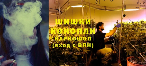 молекула духа Балахна