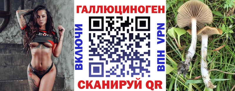 Псилоцибиновые грибы Psilocybine cubensis  Сафоново 